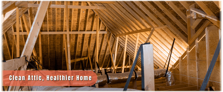 Attic Cleaning Annandale